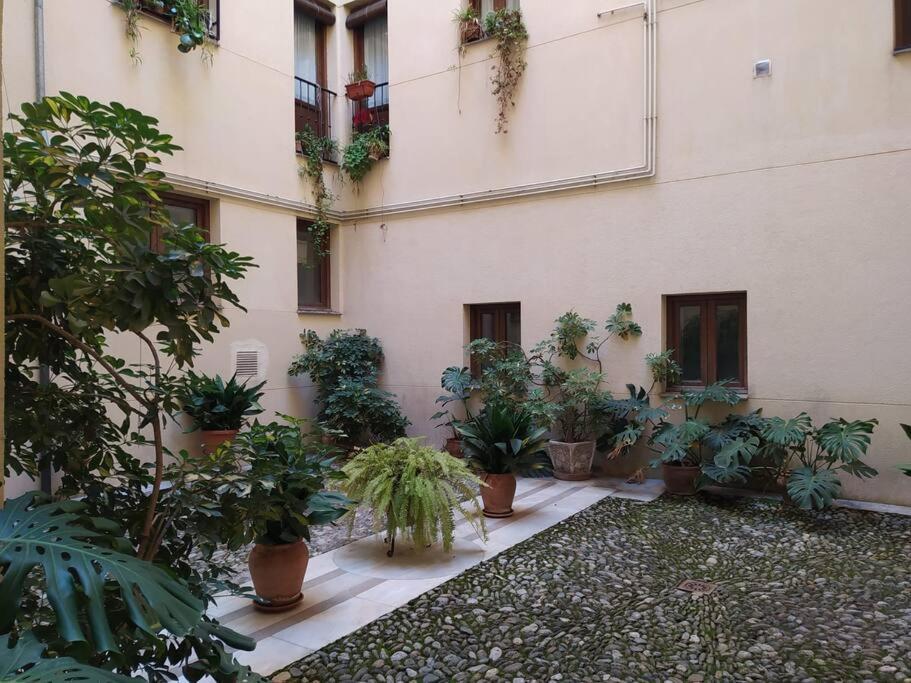 4 Balconies House, Central And Near The Alhambra Grenade Extérieur photo